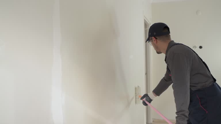 Best Drywall Sanding and Smoothing  in Menomonie, WI